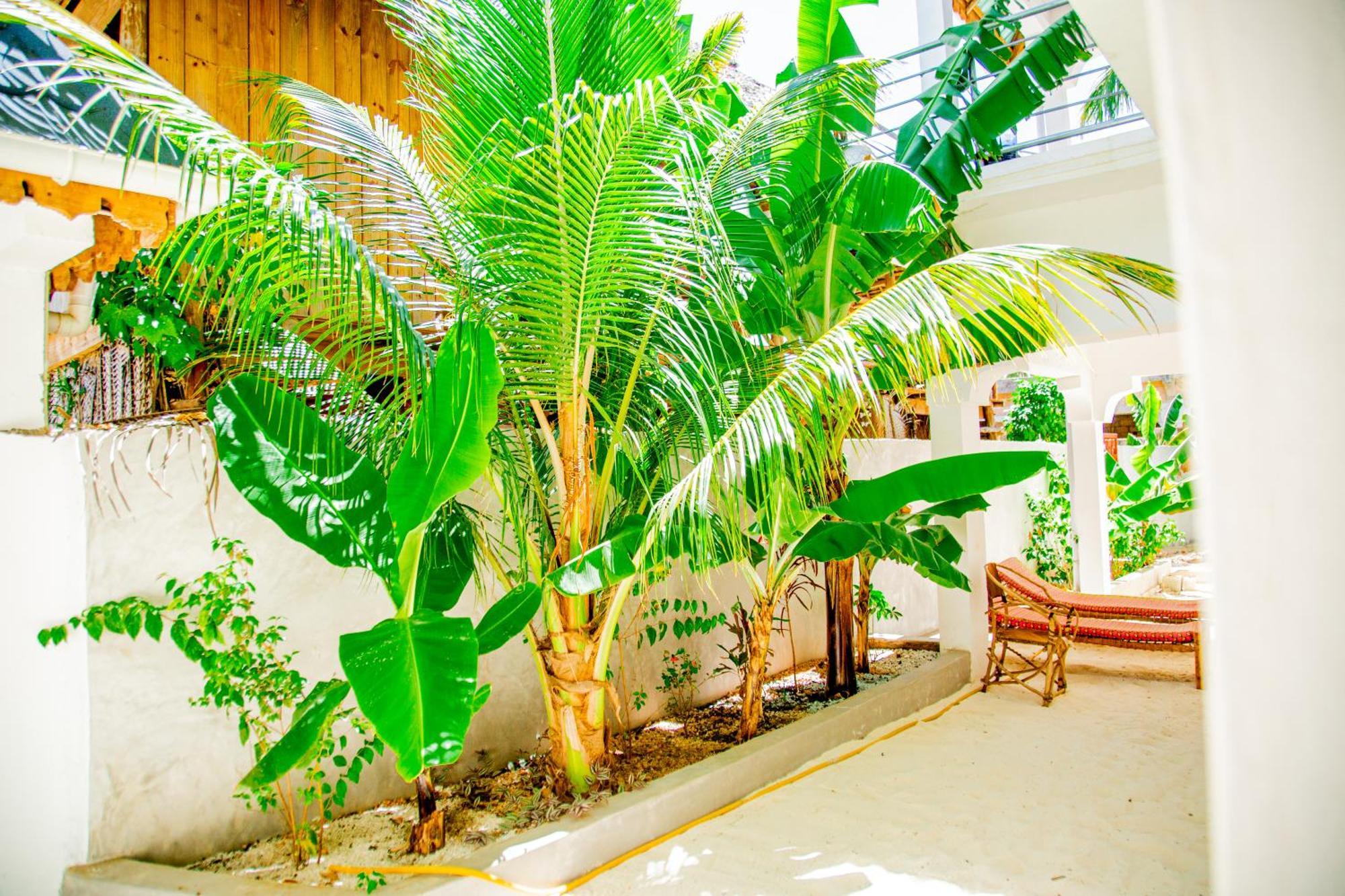 Pamoja Beach Stays Hotel In Jambiani Jambiani  Esterno foto